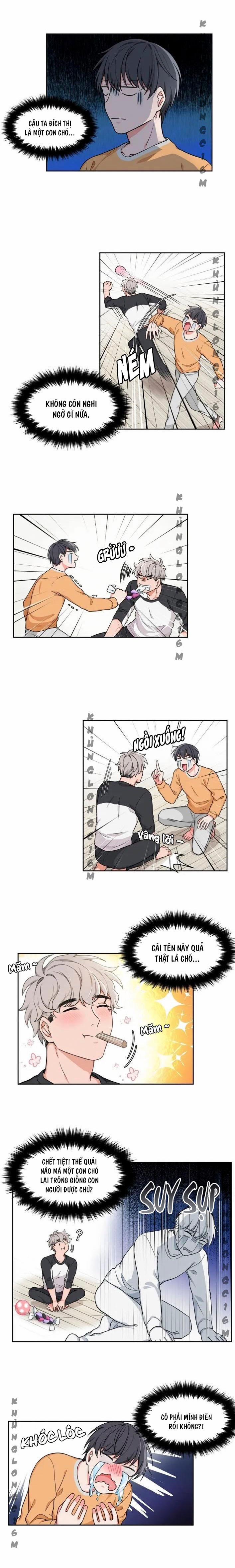 Sit, Wait, Kiss Me 2 trang 8