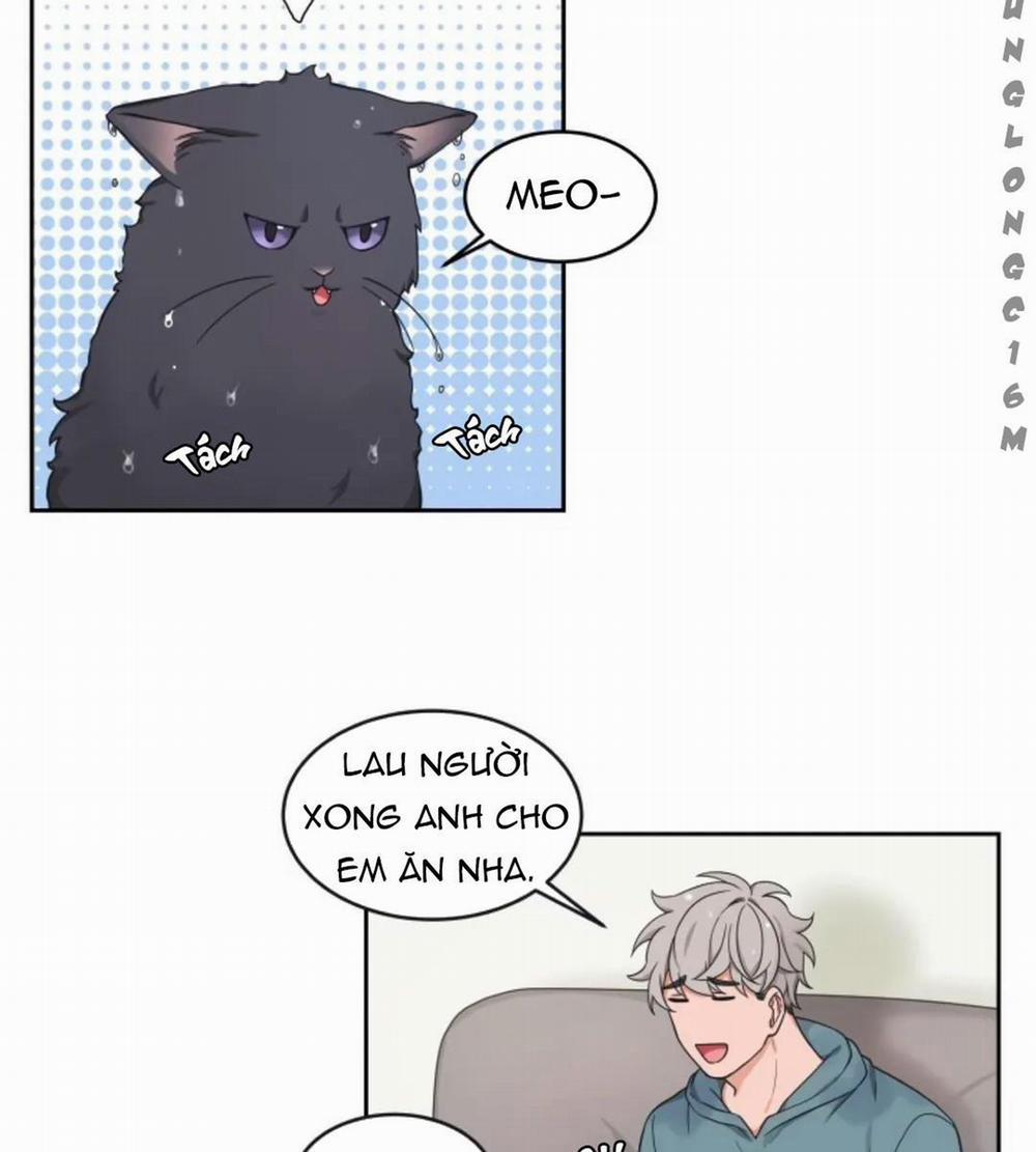 Sit, Wait, Kiss Me 24.5 trang 12