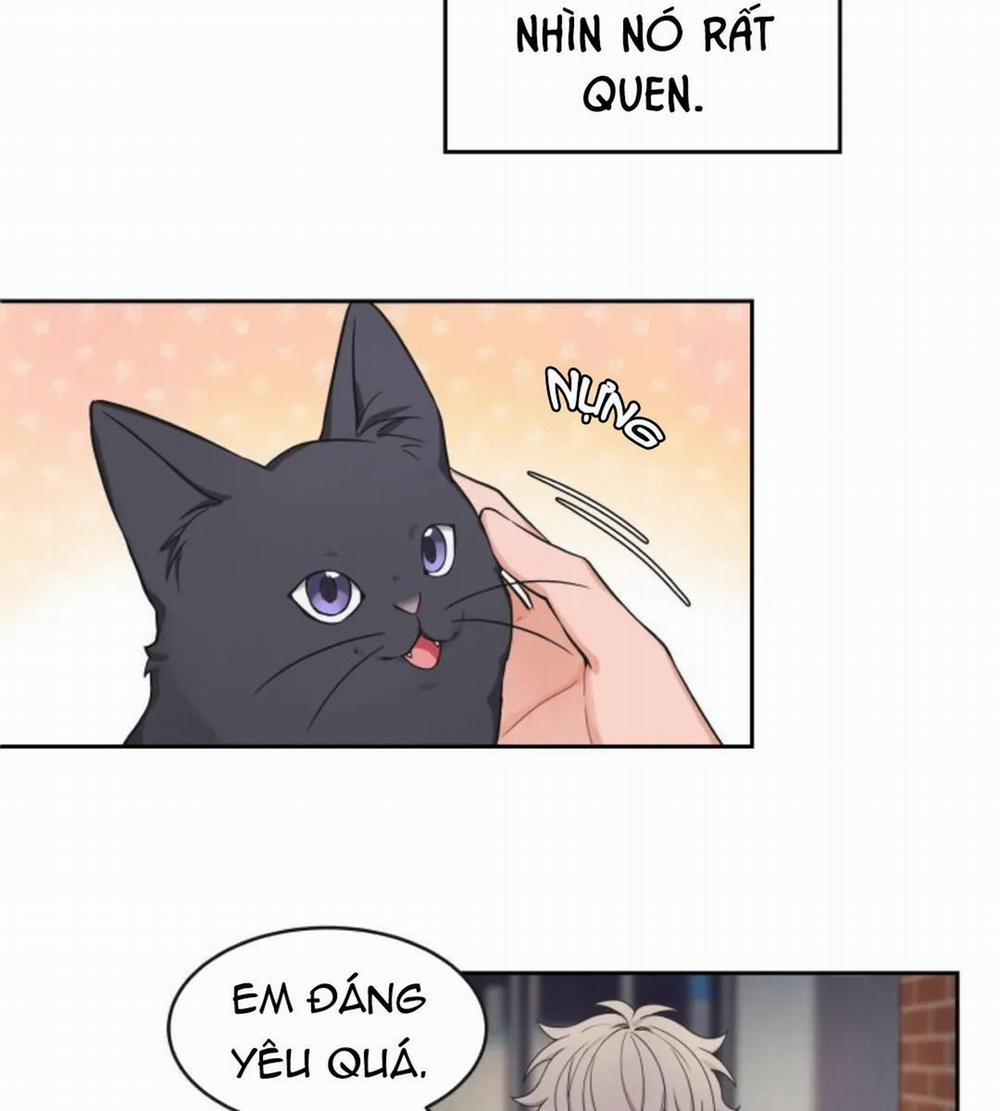 Sit, Wait, Kiss Me 24.5 trang 3