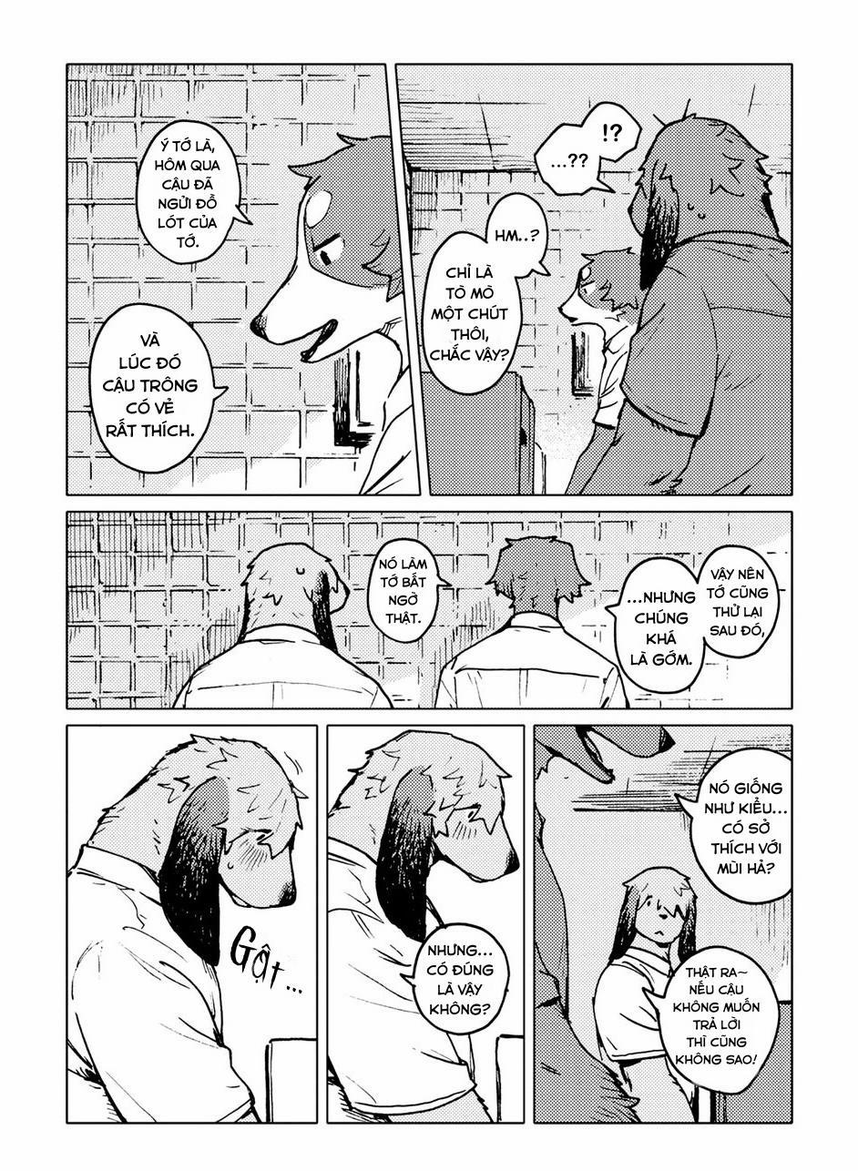 Smell 2 trang 6