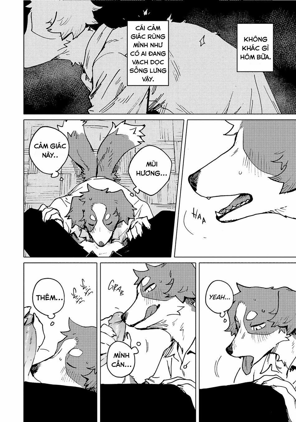Smell 4 trang 19