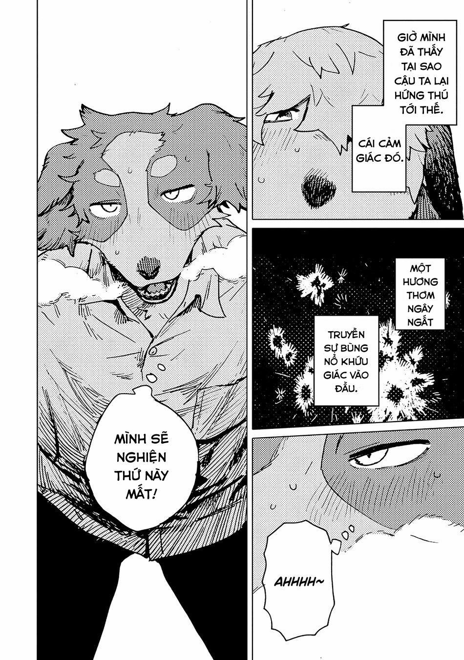 Smell 4 trang 21
