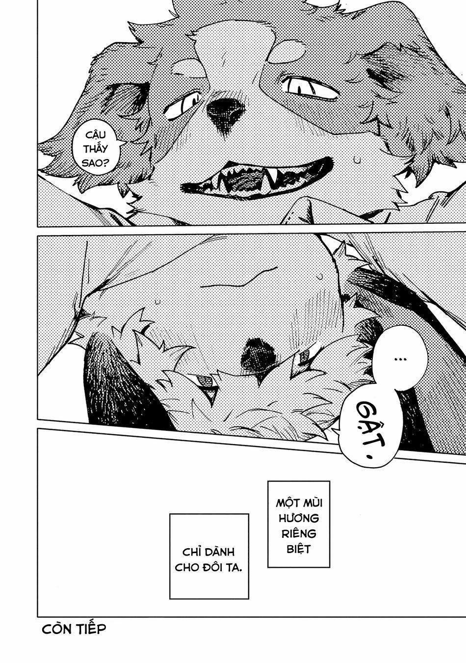 Smell 4 trang 29