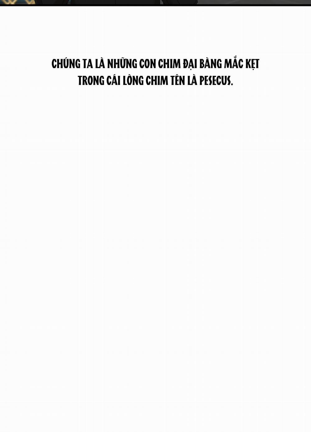 Smirna And Capri 29.5 trang 29