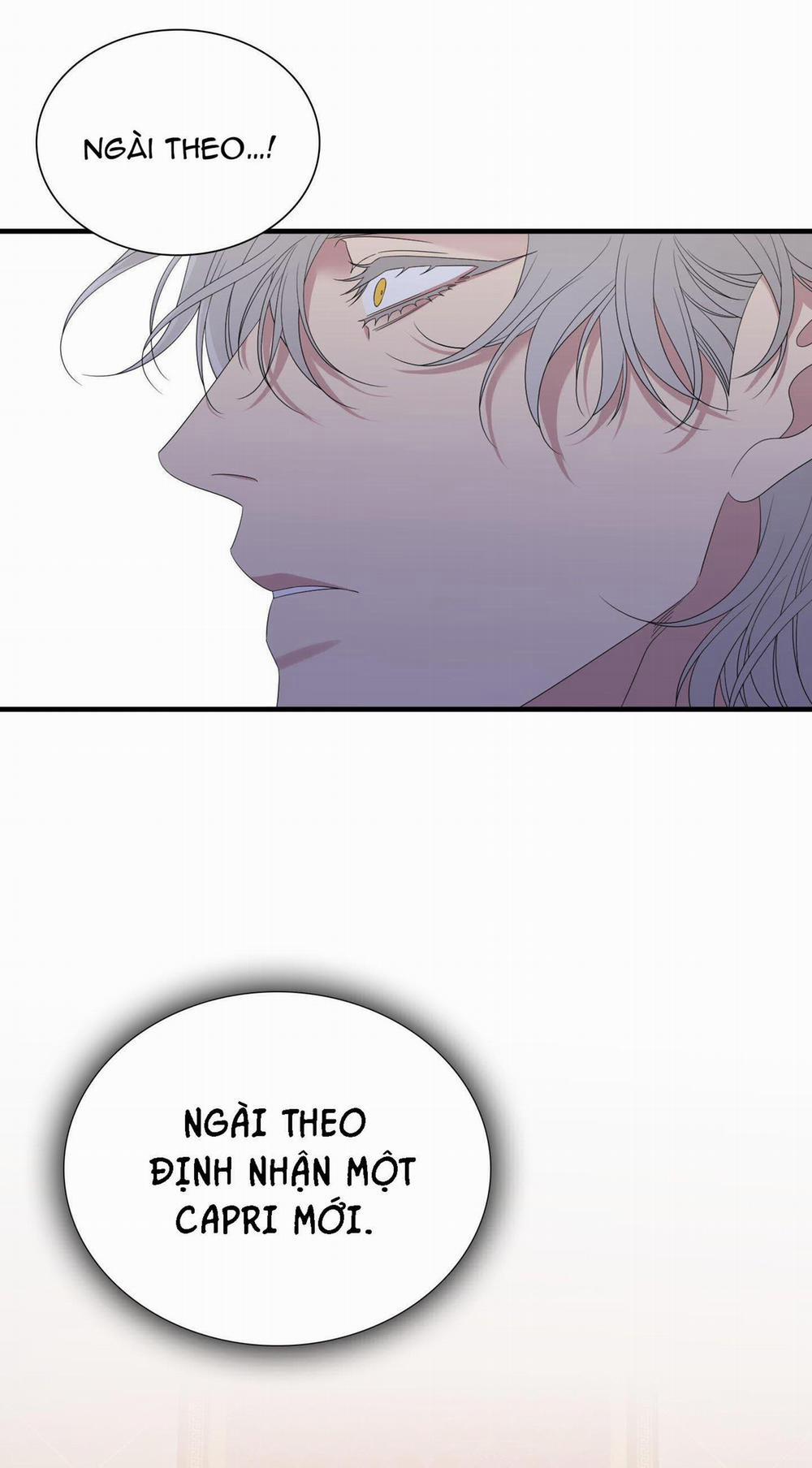 Smirna And Capri 30 trang 41