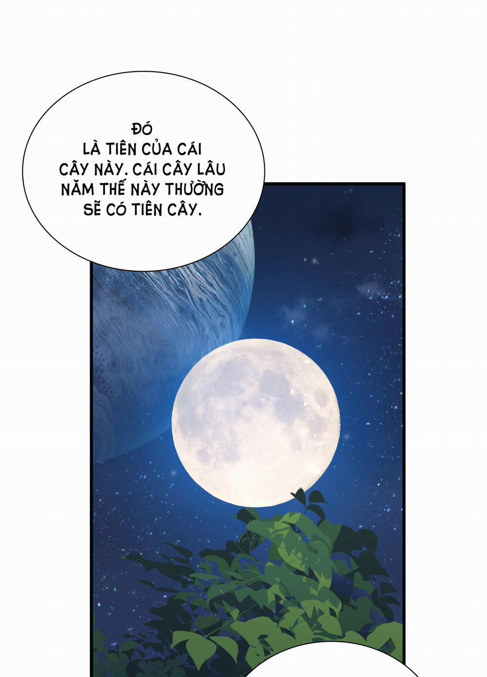 Smirna And Capri 31.5 trang 18