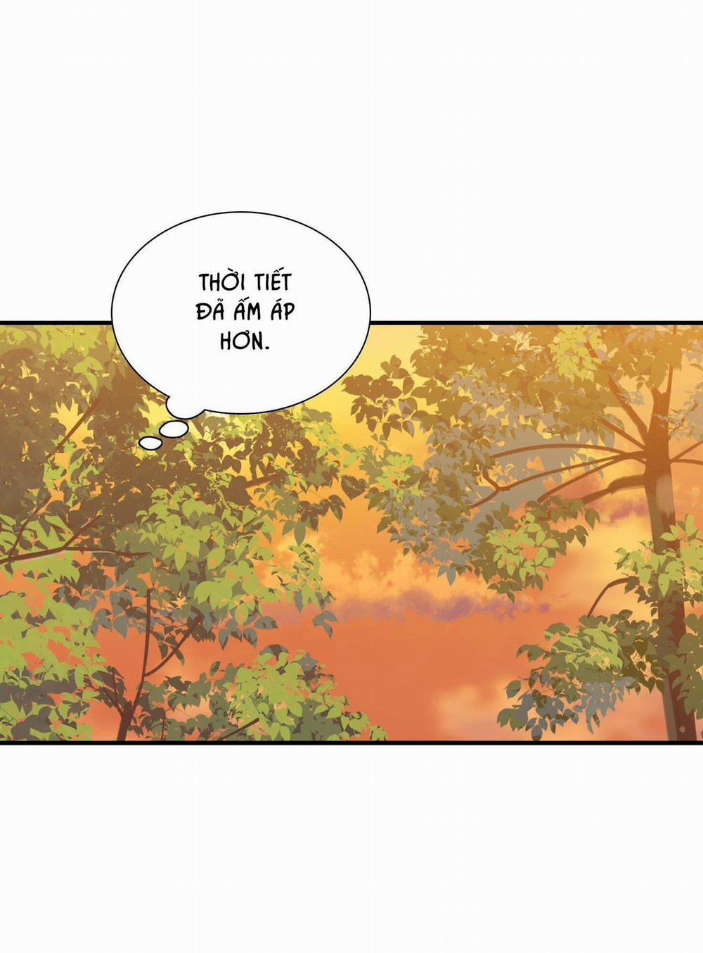 Smirna And Capri 37 trang 49