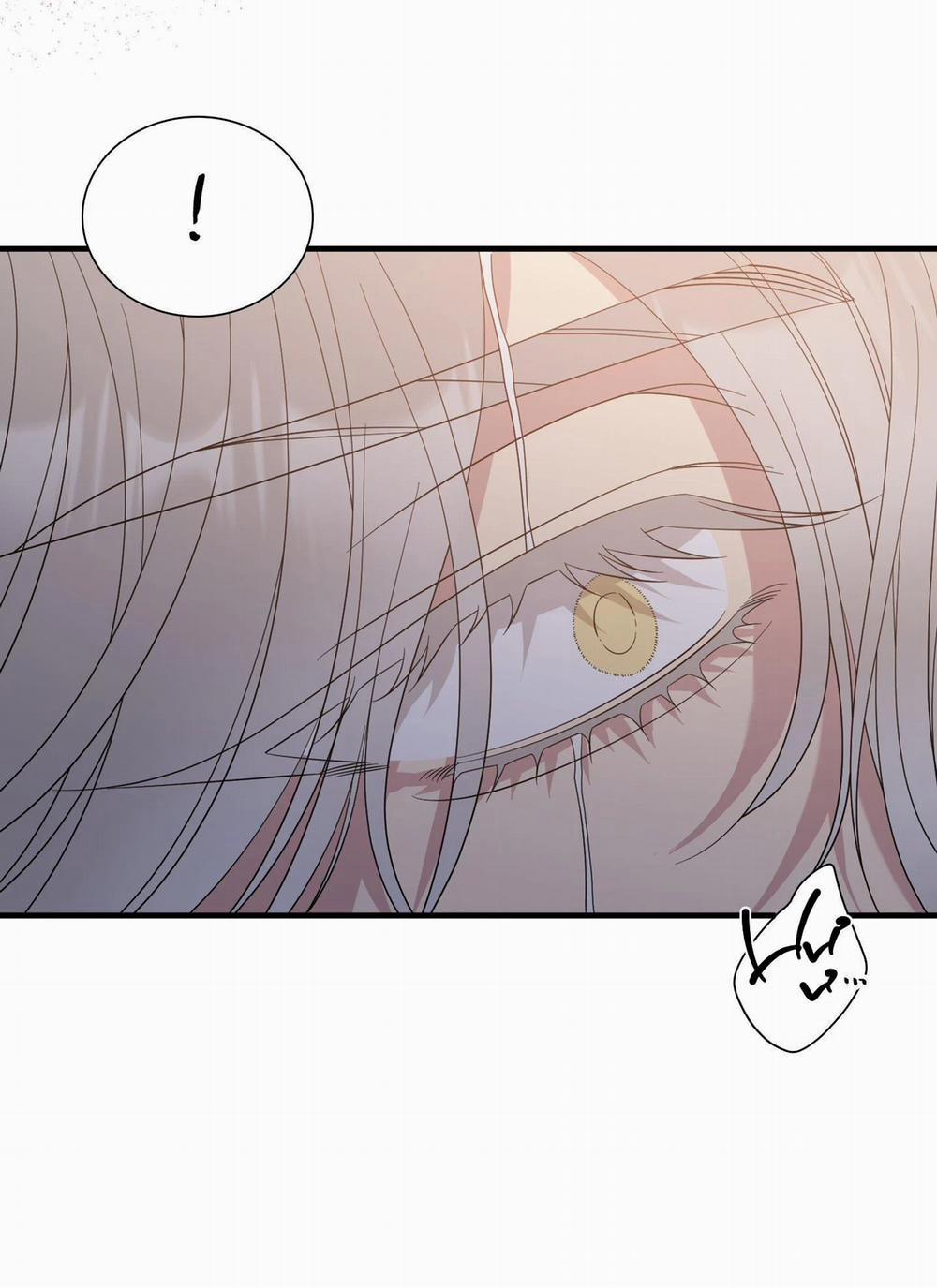 Smirna And Capri 50 trang 25