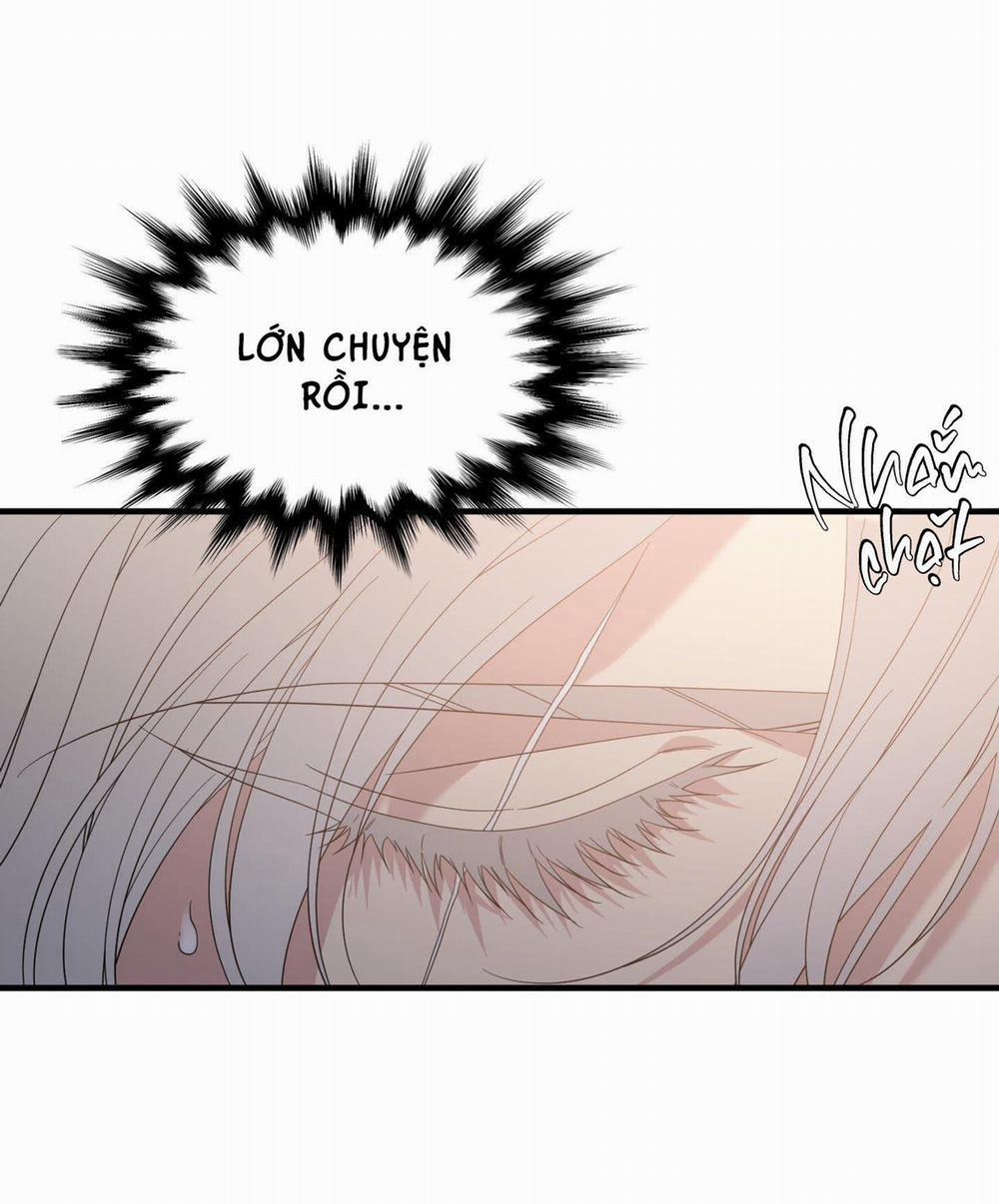 Smirna And Capri 50 trang 8