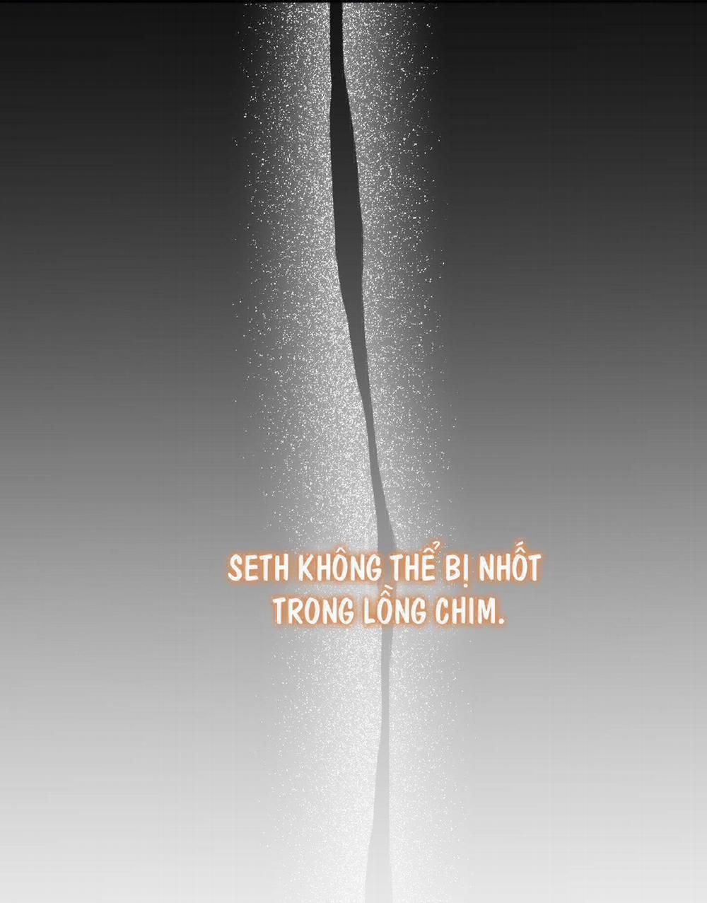 Smirna And Capri 53 trang 24