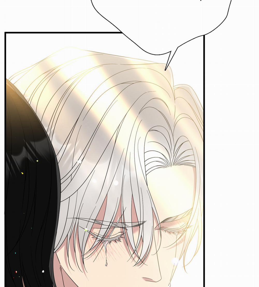 Smirna And Capri 67.2 trang 14