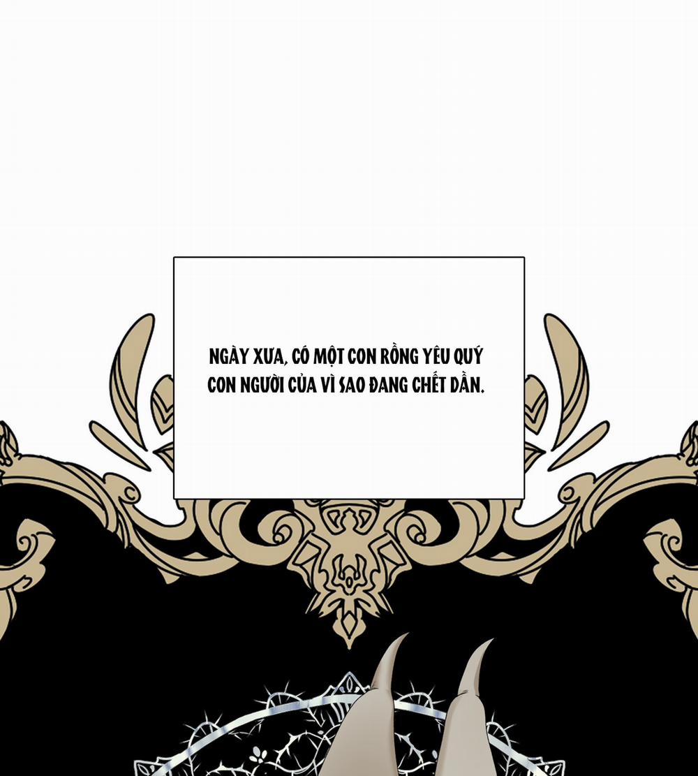 Smirna And Capri 67.2 trang 29