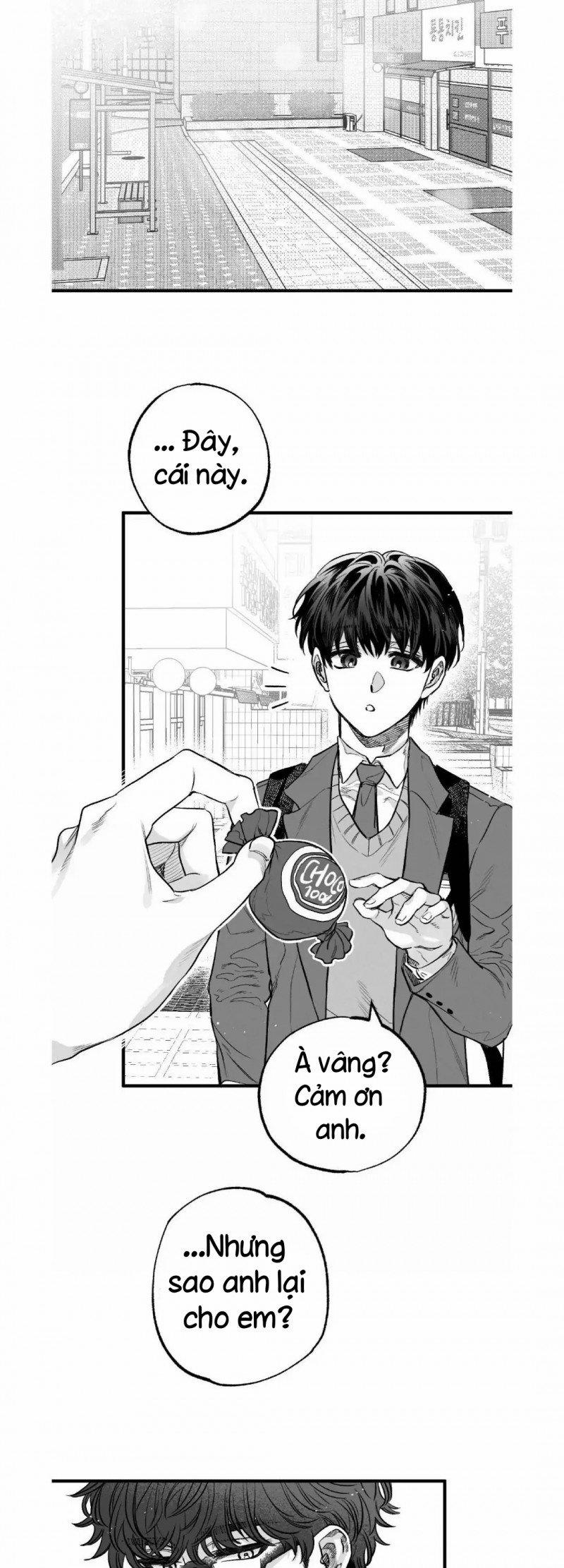 Số Trường Hợp 1 trang 11