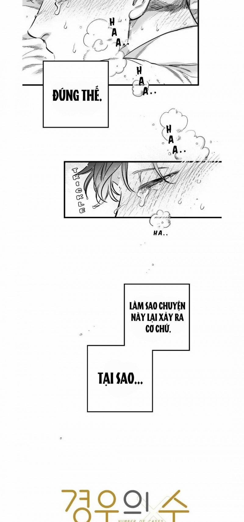 Số Trường Hợp 1 trang 2