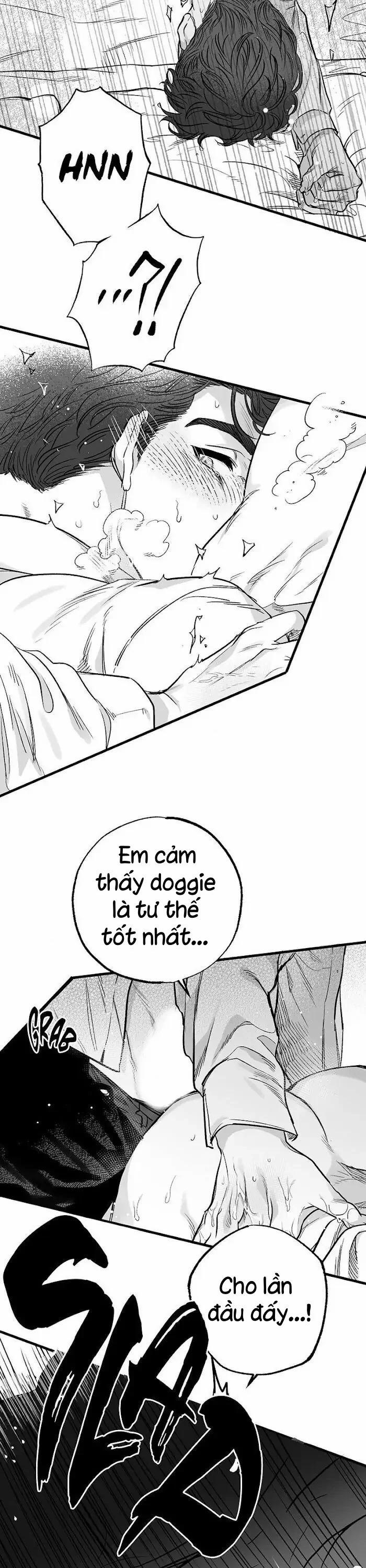 Số Trường Hợp 3 trang 10