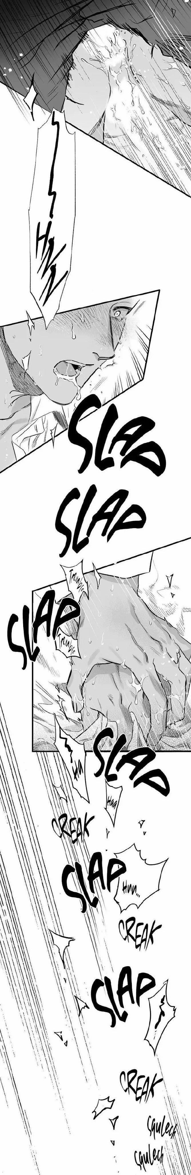 Số Trường Hợp 3 trang 11