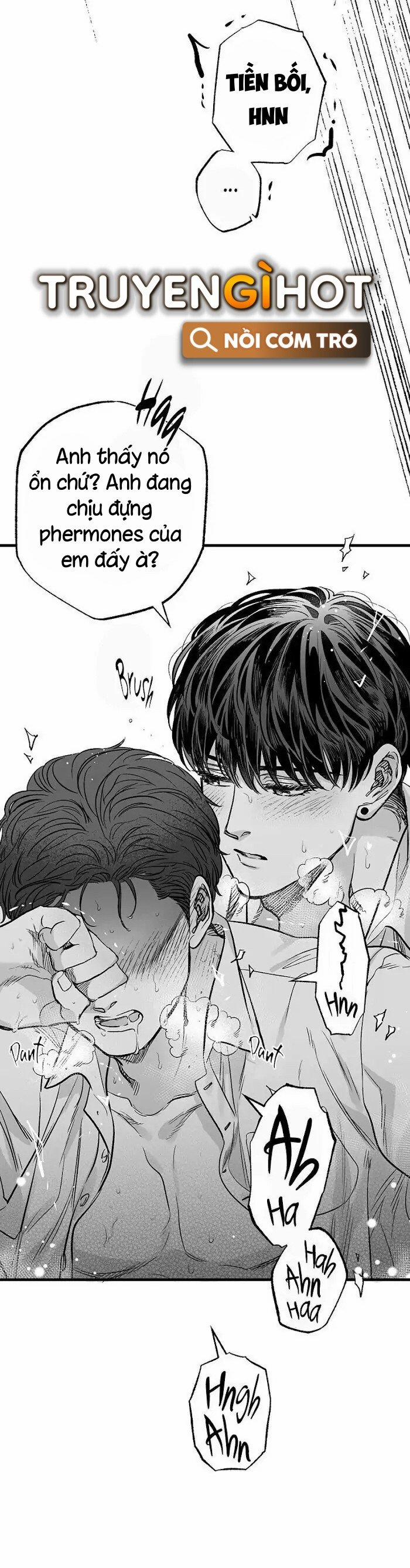 Số Trường Hợp 3 trang 12