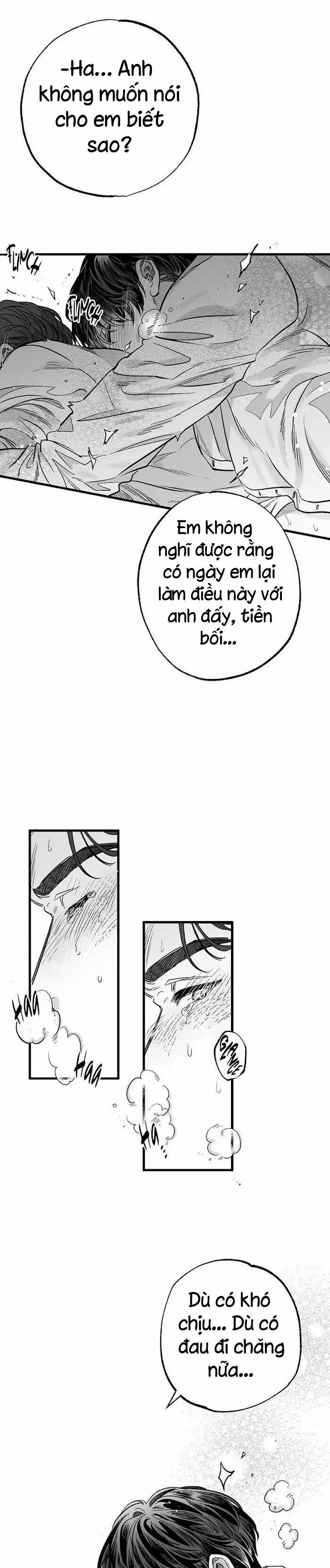 Số Trường Hợp 3 trang 13