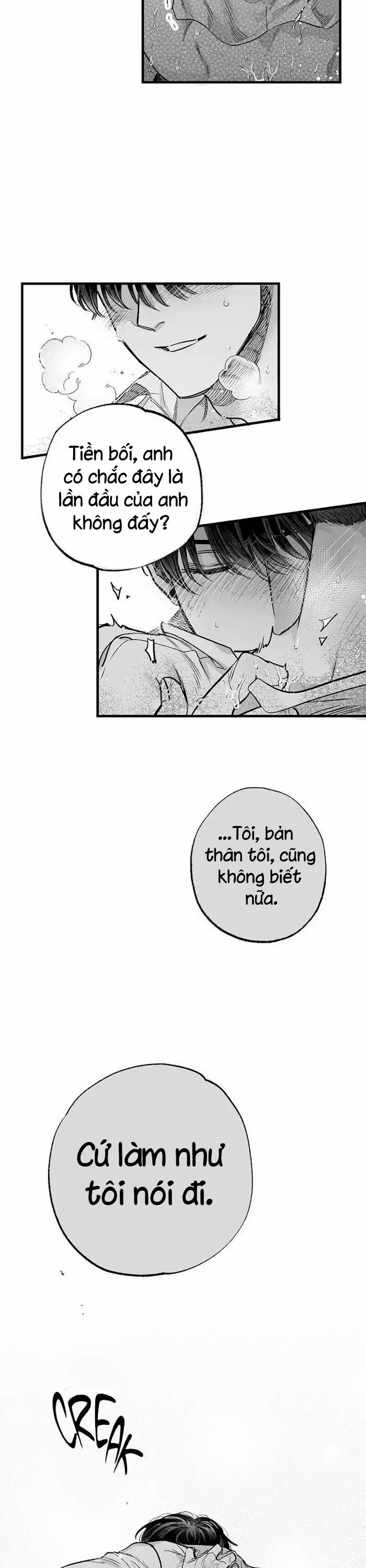 Số Trường Hợp 3 trang 17