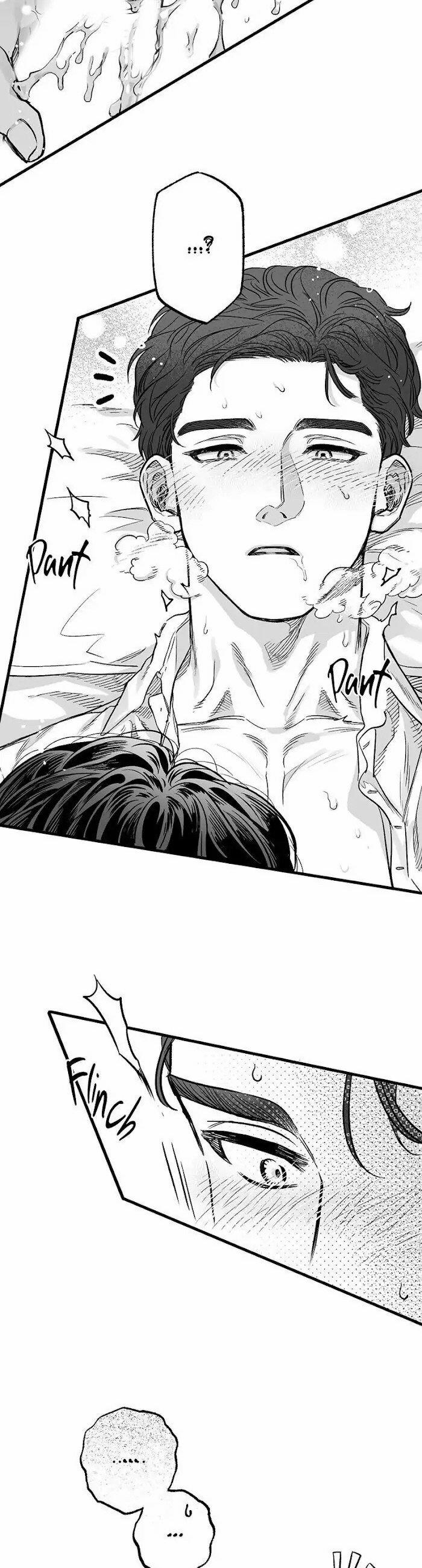 Số Trường Hợp 3 trang 2