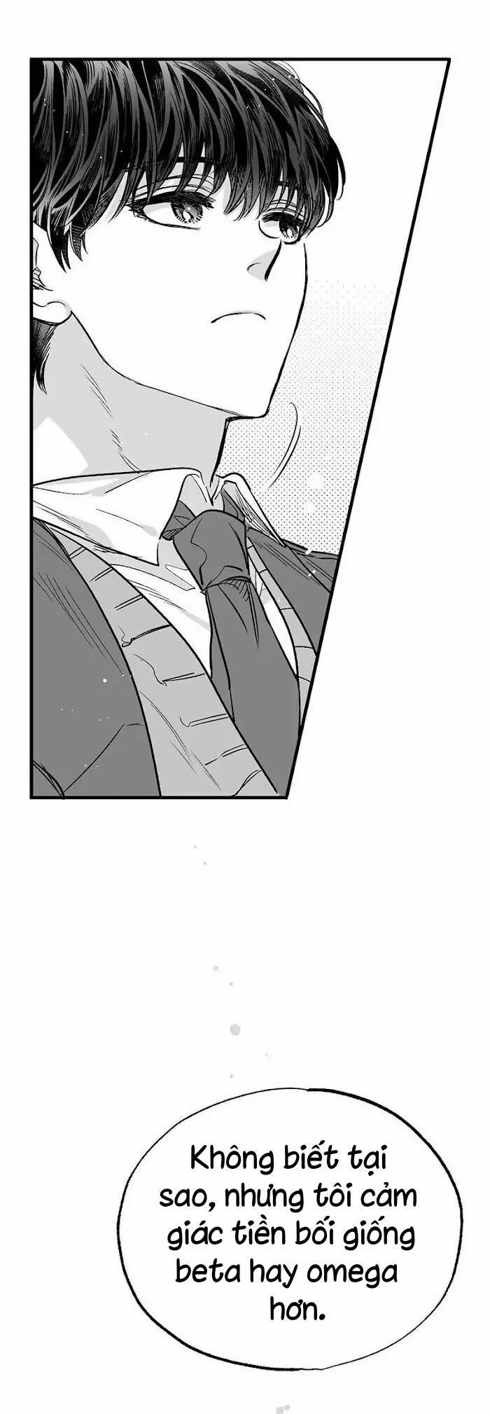 Số Trường Hợp 3 trang 29