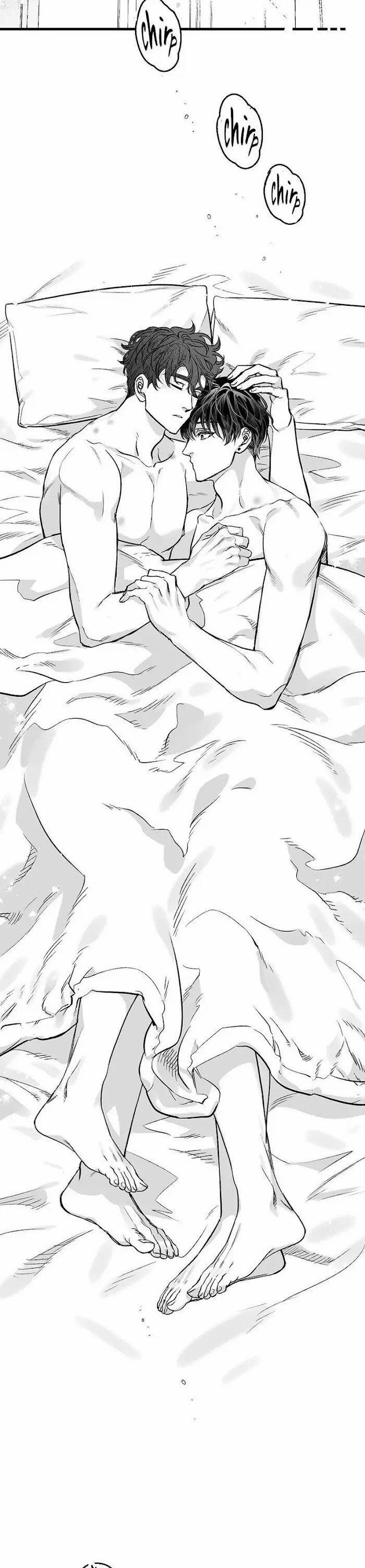 Số Trường Hợp 3 trang 31