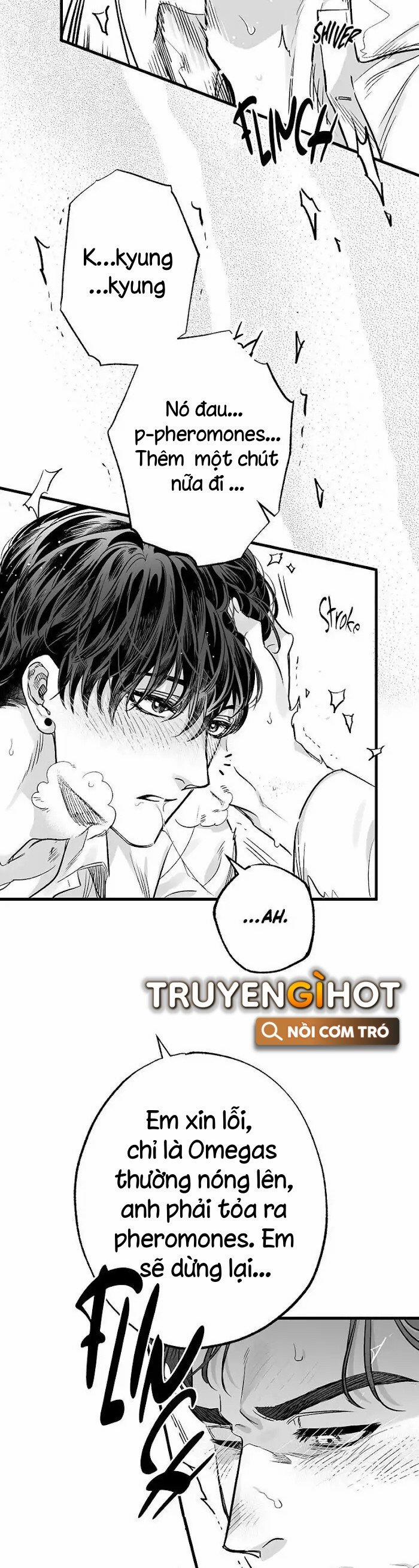 Số Trường Hợp 3 trang 6