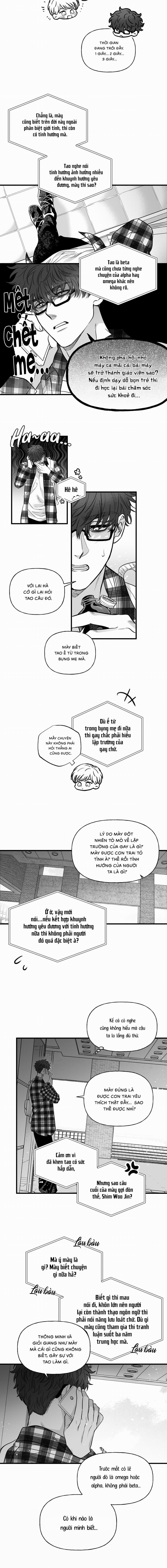 Số Trường Hợp 4 trang 5