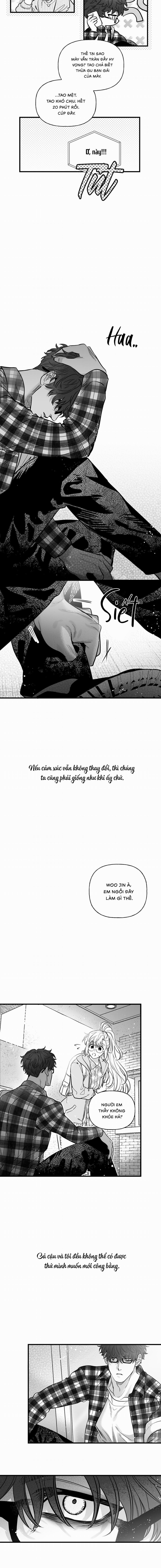 Số Trường Hợp 4 trang 8