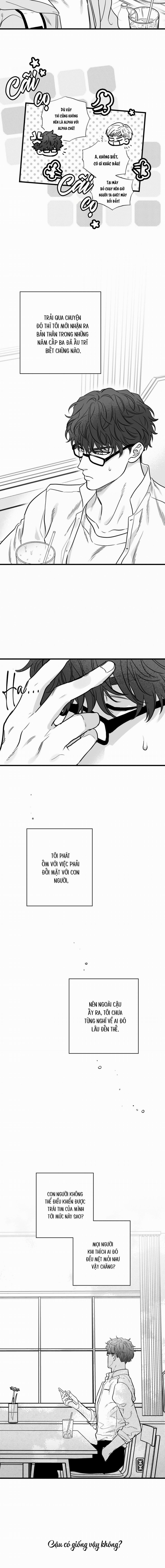 Số Trường Hợp 5 trang 11