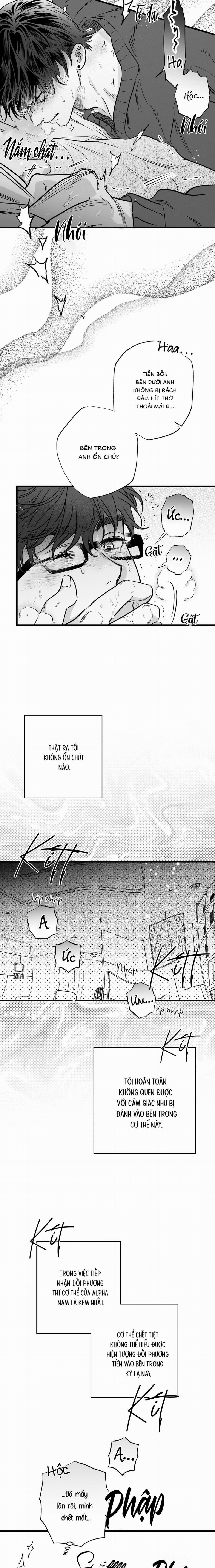 Số Trường Hợp 6 trang 10