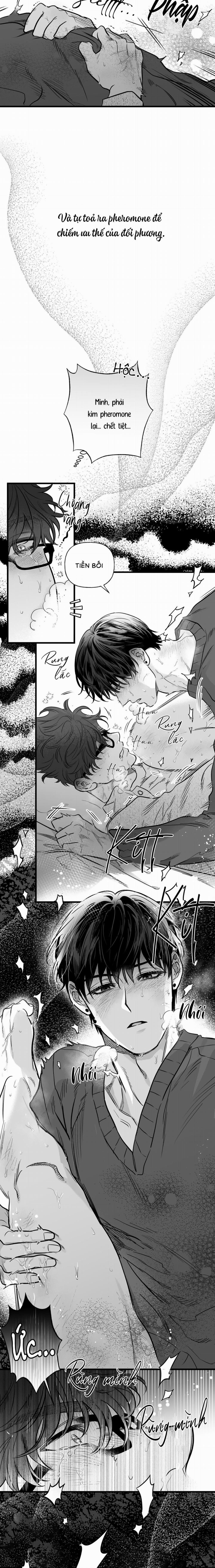 Số Trường Hợp 6 trang 11