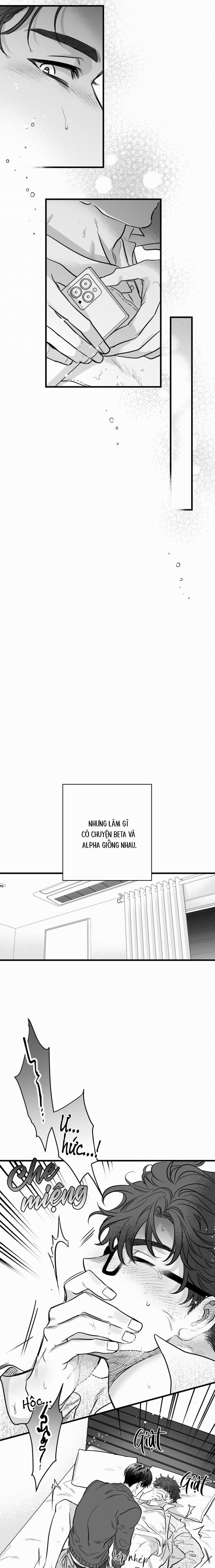 Số Trường Hợp 6 trang 5