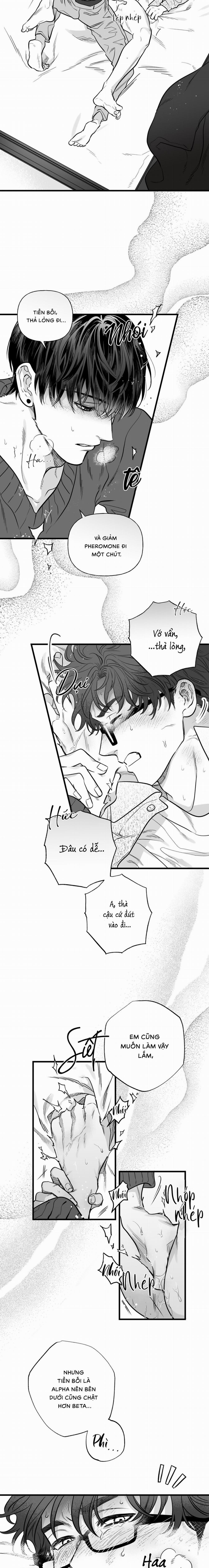 Số Trường Hợp 6 trang 6