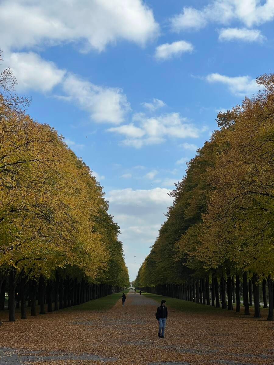 Soara Và Ngôi Nhà Cho Quái Vật 11 trang 44