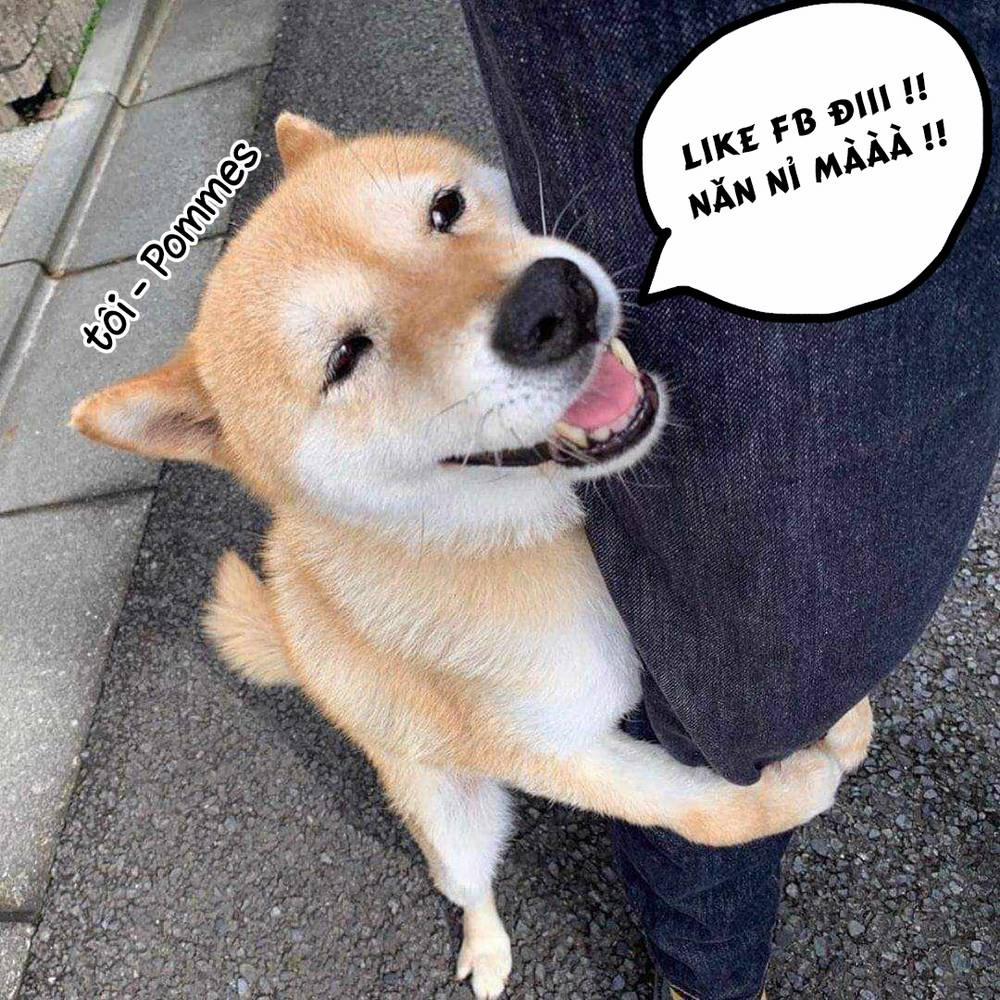 Soara Và Ngôi Nhà Cho Quái Vật 18 trang 40