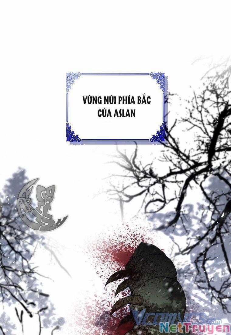 Sóc Nhỏ Tài Năng 13 trang 1