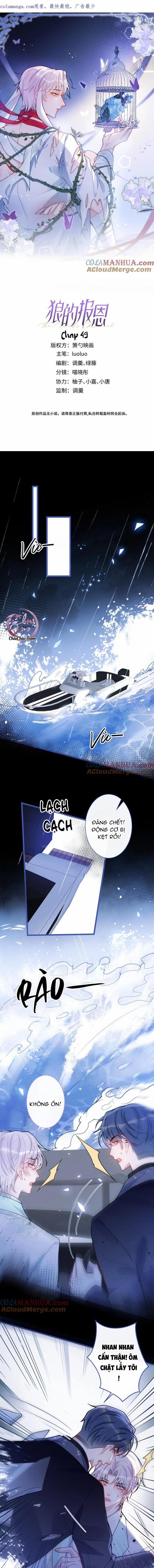 Sói Báo Ơn 49 trang 0