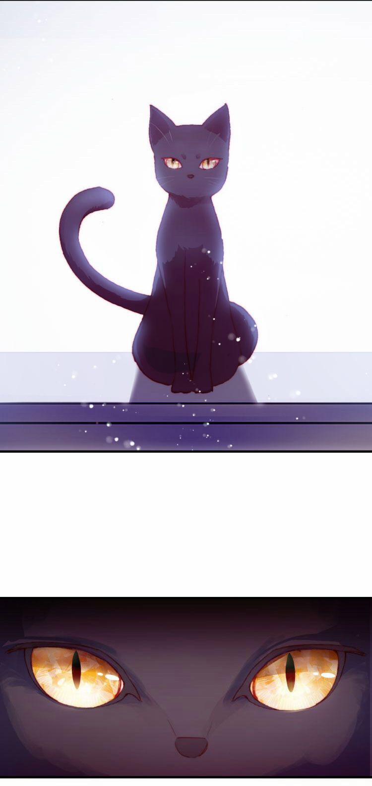 Sói Và Chim Trong Lồng 1.5 trang 12