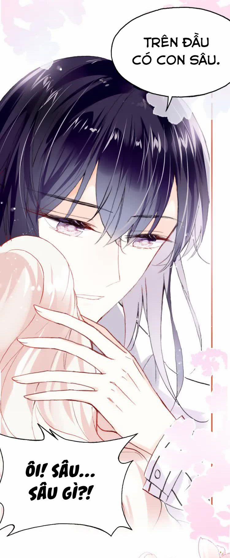 Sói Và Chim Trong Lồng 5.5 trang 10