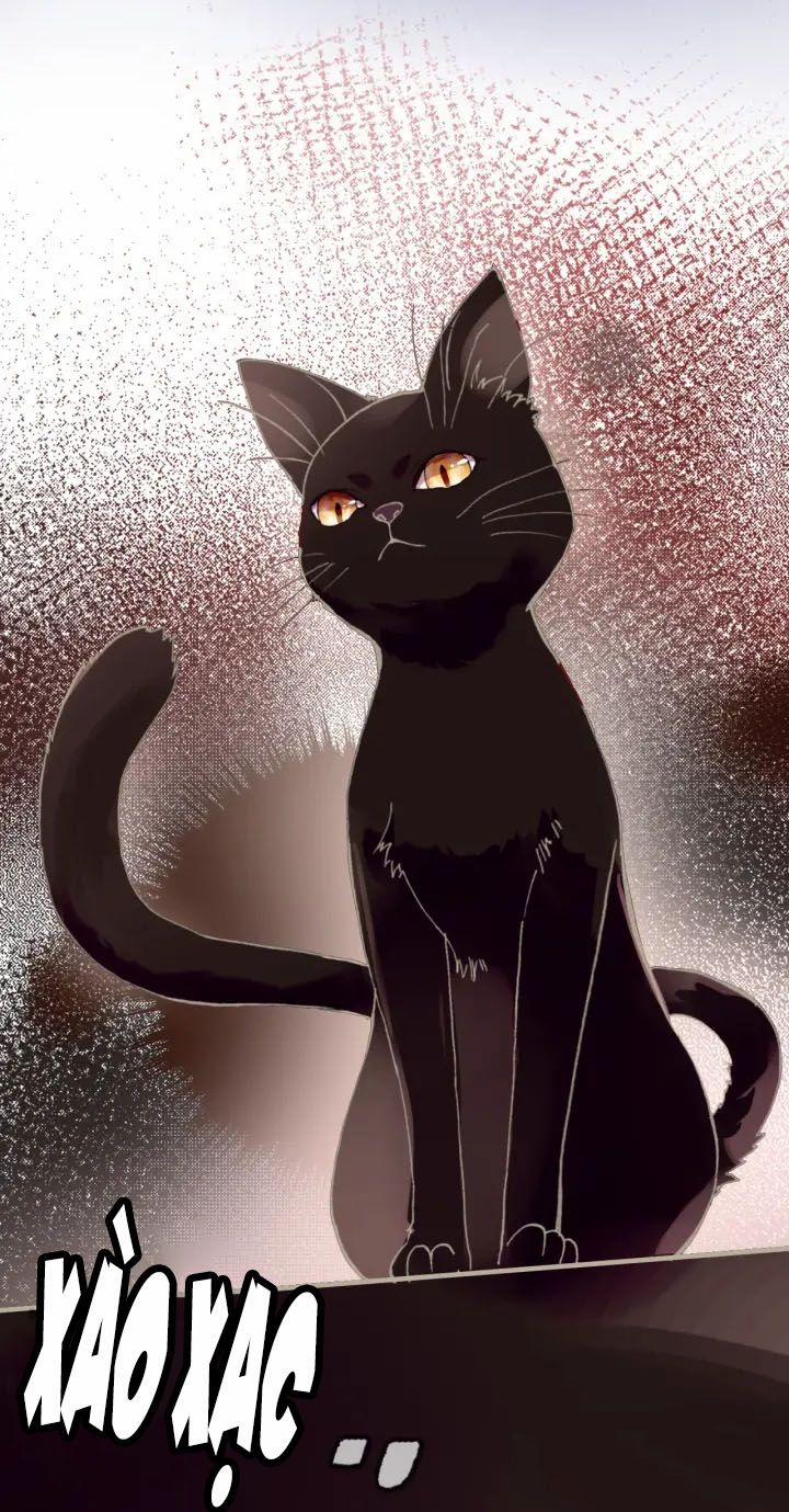 Sói Và Chim Trong Lồng 6.5 trang 38