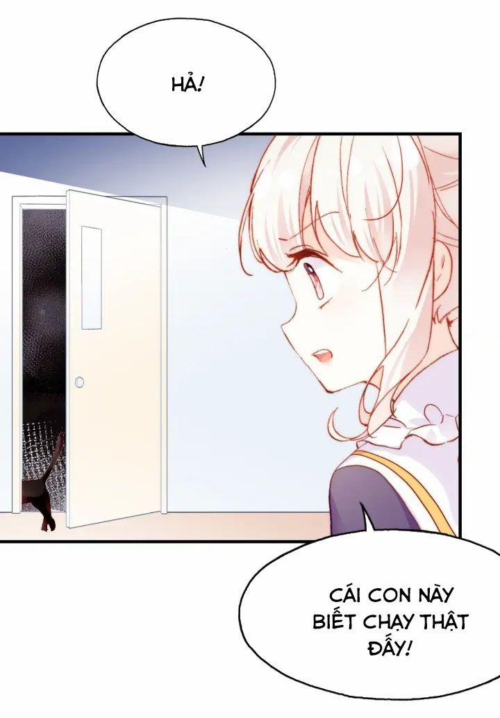 Sói Và Chim Trong Lồng 8.5 trang 4