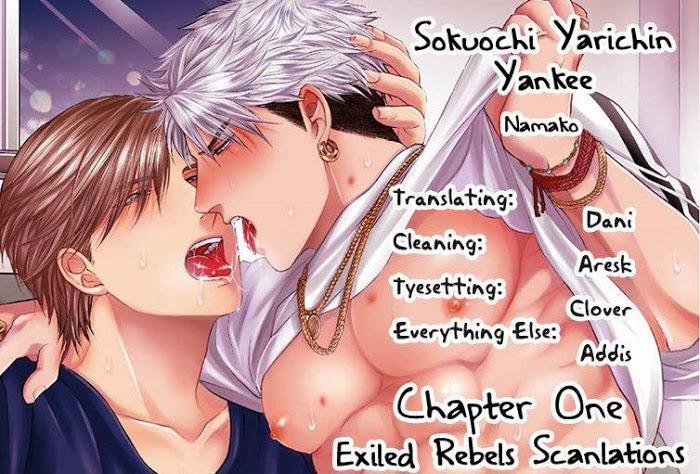 Sokuochi Yarichin Yankeee 1 trang 0