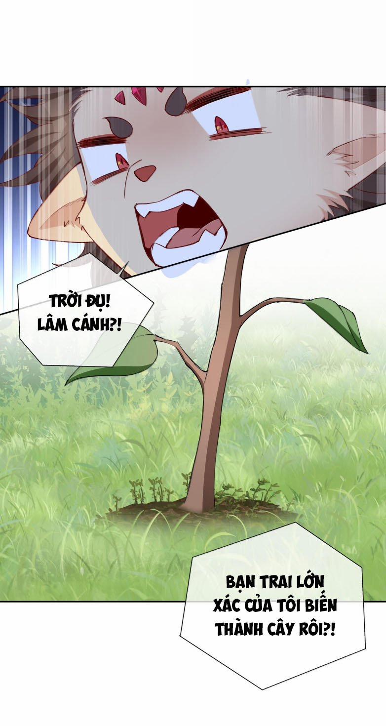 Sơn Hải Cao Trung 101 trang 17