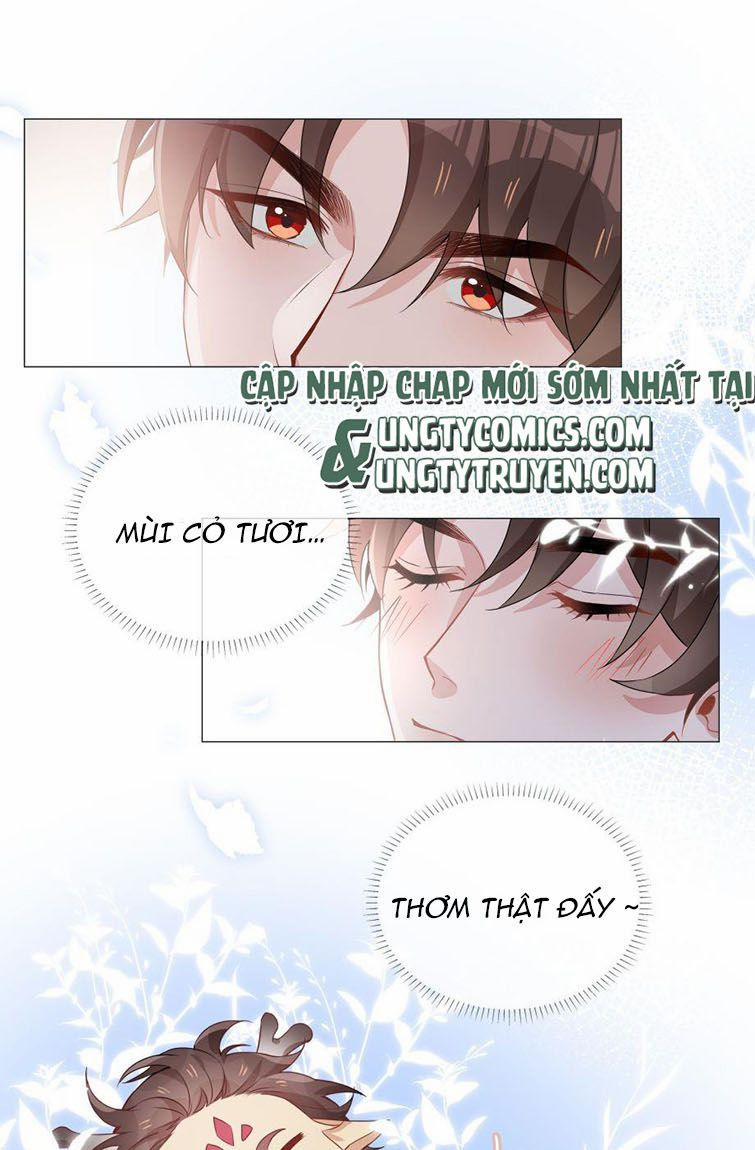 Sơn Hải Cao Trung 11 trang 0