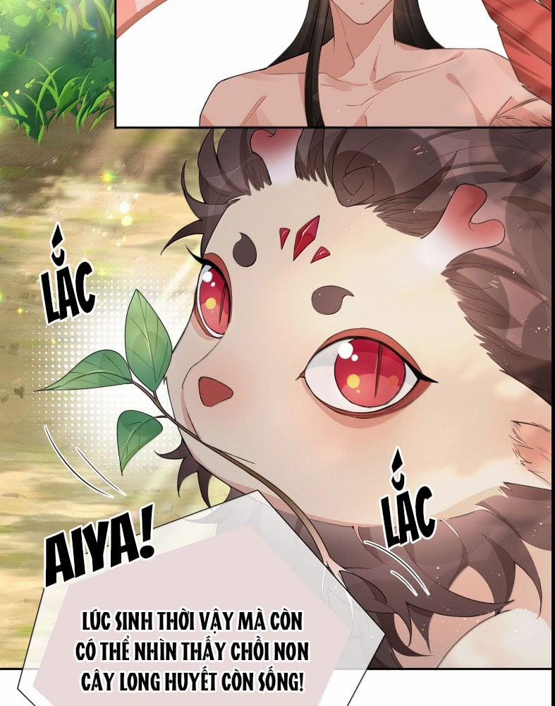Sơn Hải Cao Trung 112 trang 12