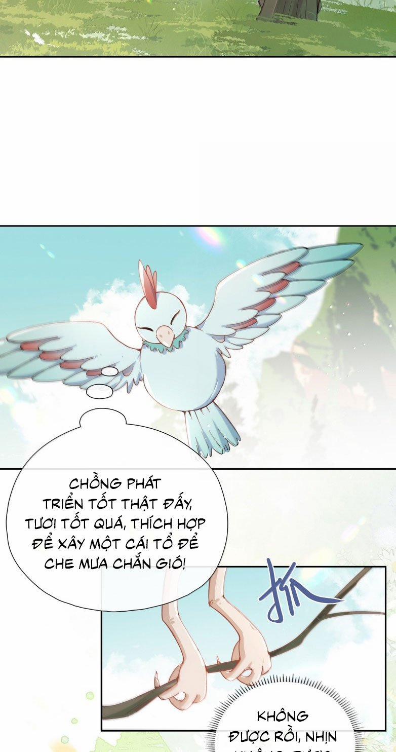 Sơn Hải Cao Trung 123 trang 14