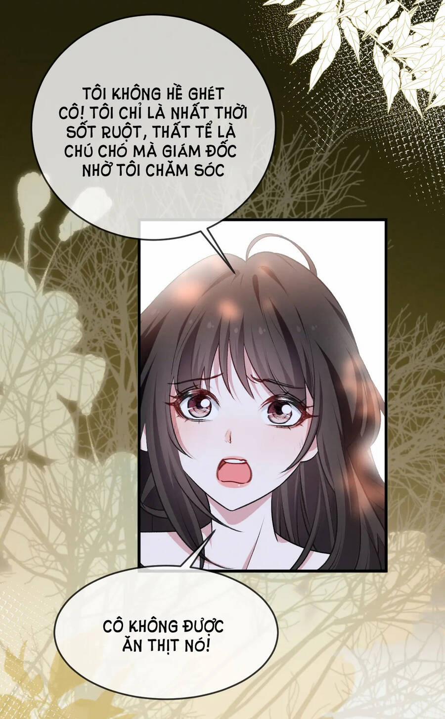 Sống Chung Với Đại Tỷ Ma Cà Rồng 24 trang 22