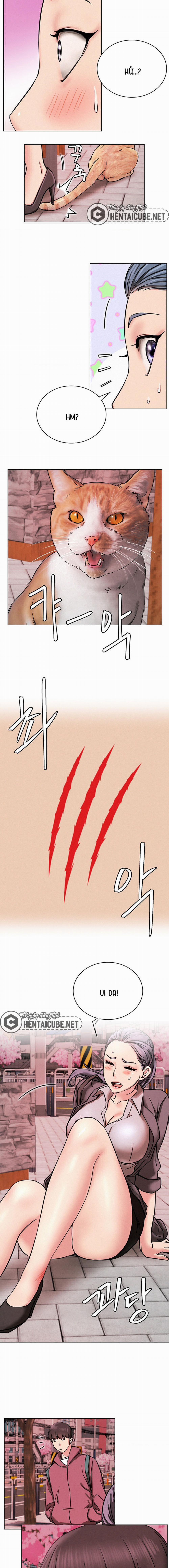 Sống Chung Với Dì 71 trang 14