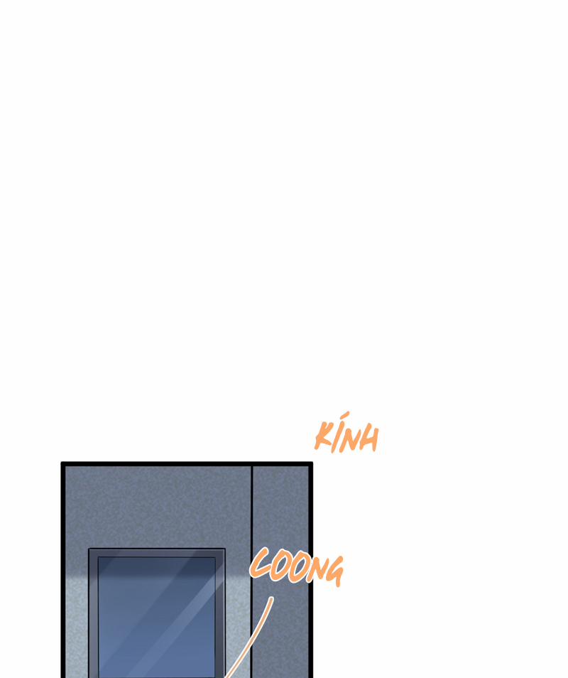 Song Trình 41 trang 8